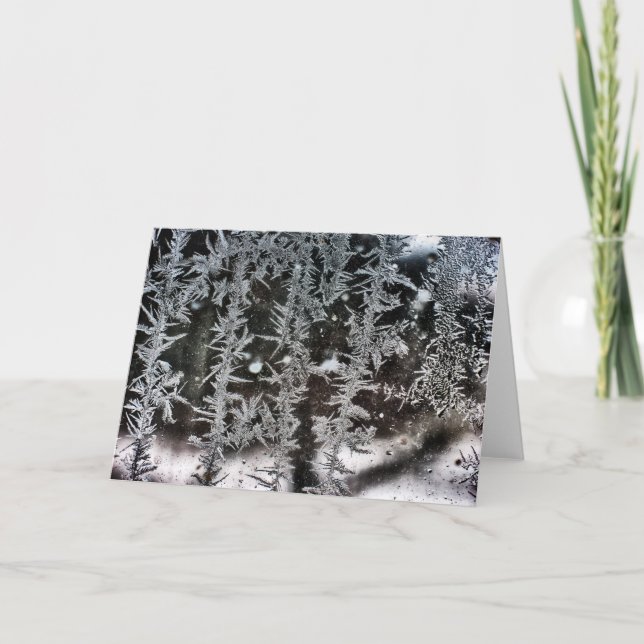 Cartão De Festividades Frost na janela (Frente)