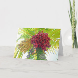 Cartão De Festividades Fruta Real Palm