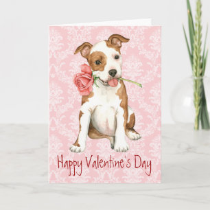 Cartão De Festividades Funcionarios Rosa Am