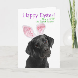 Cartão De Festividades Funny Black Lab Easter Card
