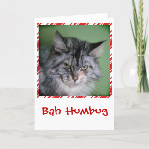 Cartão De Festividades Funny Cat Christmas greeting card