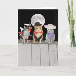 Cartão De Festividades Funny Cats/Kitties Valentine