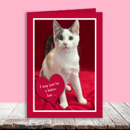 Cartão De Festividades Funny Cute Kitten Cat Valentines Puns Card