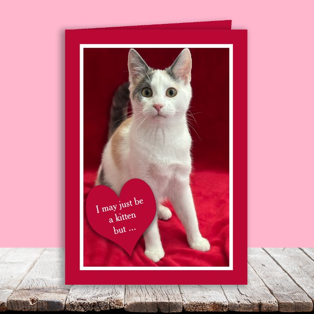 Cartão De Festividades Funny Cute Kitten Cat Valentines Puns Card (Criador carregado)