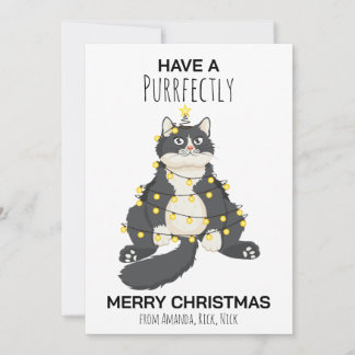 Cartão De Festividades Funny Festive Christmas Cat Minimal Animal Lover