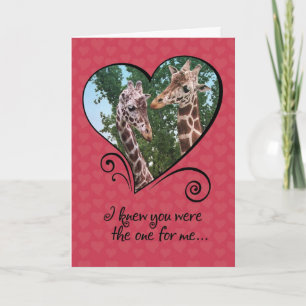 Cartão De Festividades Funny Giraffes Valentines Day Card
