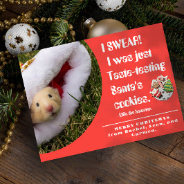 Cartão De Festividades Funny pet Hamster Photo Christmas Card
