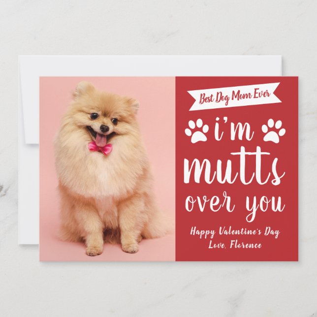 Cartão De Festividades Funny Pets Dog Lover Happy Valentine's Day (Frente)