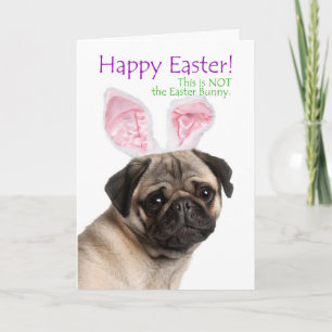 Cartão De Festividades Funny Pug Easter Card