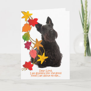 Cartão De Festividades Funny Scottie Thanksgiving Card