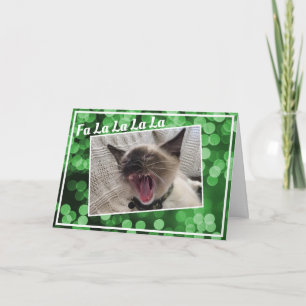 Cartão De Festividades Funny Singing Siamese Kitten Photo Christmas