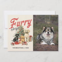 FURRY E BRIGHT NATAL DE CACHORRO ANIMAL DE COMPANH