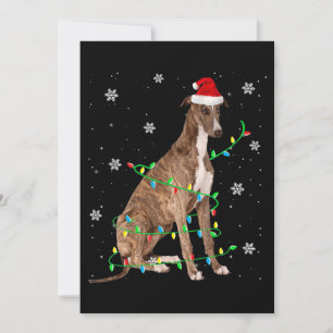 Cartão De Festividades galgo luz de natal santa fofo galgo