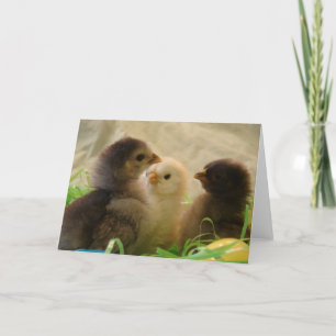 Cartão De Festividades Galinhas páscoas