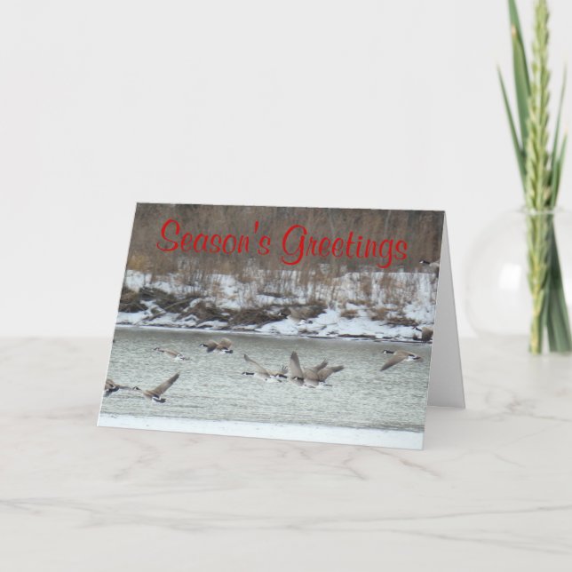 Cartão De Festividades Gansos B7 canadenses em vôo (Frente)