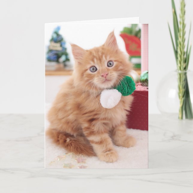 Cartão De Festividades Gatinho (Frente)
