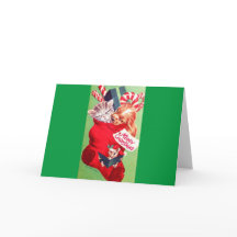 Gatinho bonito do filhote de cachorro do bebê do