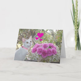 Cartão De Festividades Gatinho branco e namorados cor-de-rosa dos cravos