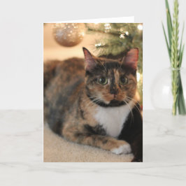 Cartão De Festividades Gatinho Calico na árvore de Natal