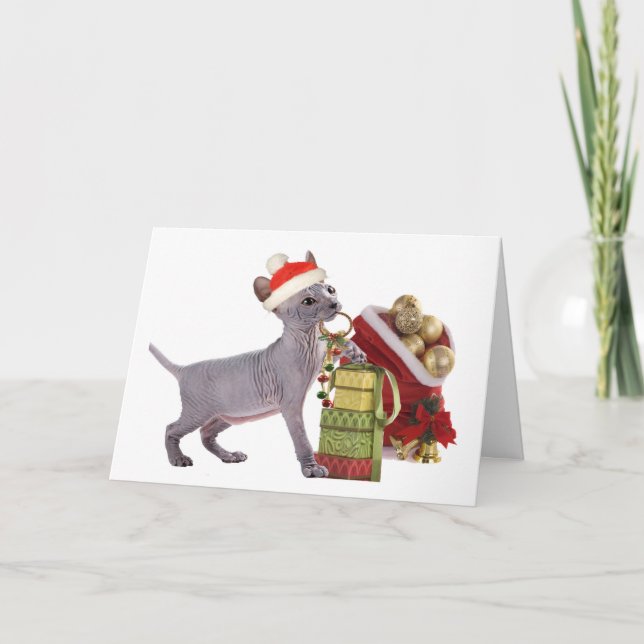 Cartão De Festividades Gatinho ChristmasCards de Sphynx (Frente)