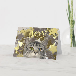 Cartão De Festividades Gatinho da estrela