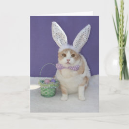 Cartão De Festividades Gatinho da páscoa