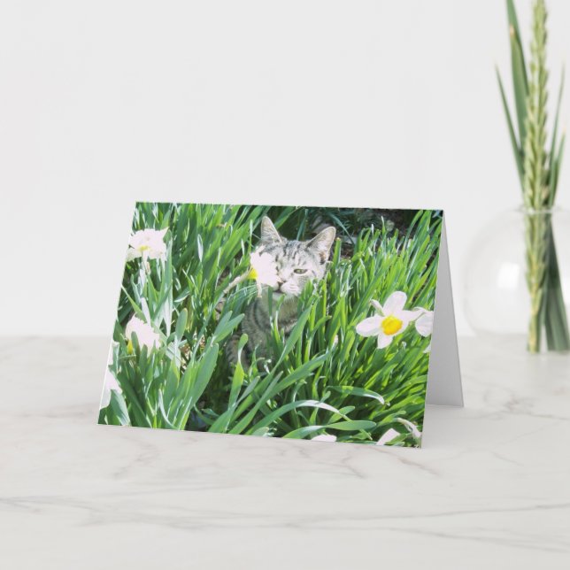 CARTÃO DE FESTIVIDADES GATINHO DA PÁSCOA (Frente)