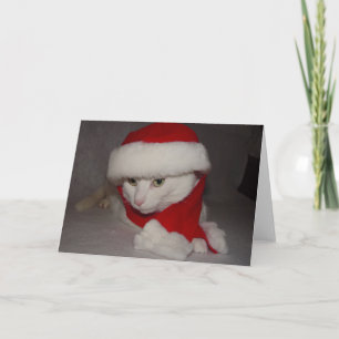 Cartão De Festividades Gatinho de Natal