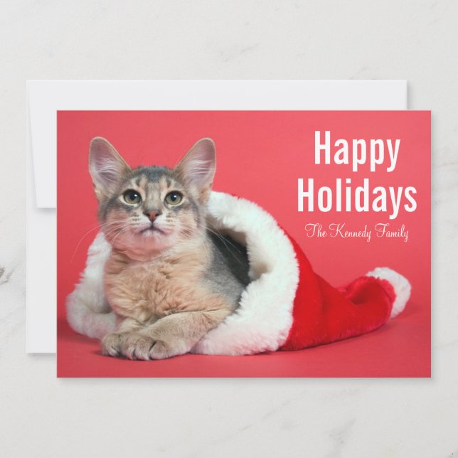 Cartão De Festividades Gatinho de Natal (Frente)