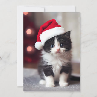 Cartão De Festividades Gatinho de Natal bonito
