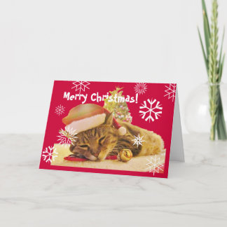 Cartão De Festividades Gatinho do Natal