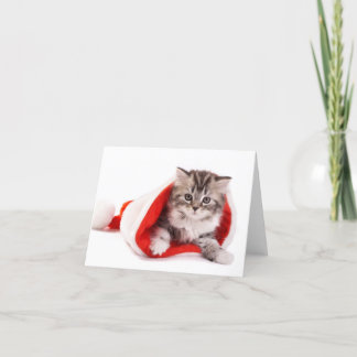 Cartão De Festividades Gatinho em um chapéu do papai noel