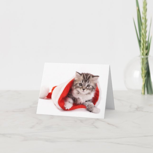 Cartão De Festividades Gatinho em um chapéu do papai noel (Frente)