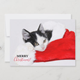 Cartão De Festividades Gatinho Fofo com Chapéu de Papai Noel