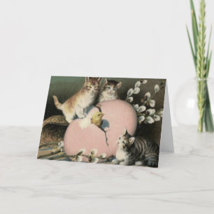 Cartão De Festividades Gatinho Gato Páscoa Pintinho Ovo Pintado Colorido