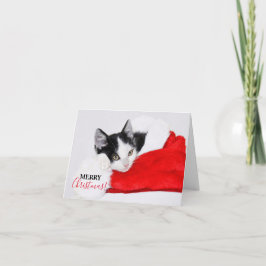 Cartão De Festividades Gatinho giro em Santa Hat