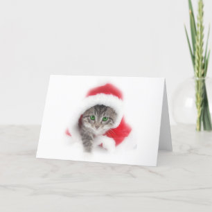 Cartão De Festividades Gatinho no chapéu do papai noel