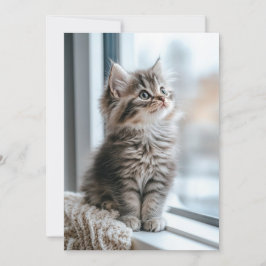 Cartão De Festividades Gatinho perto da janela Apartamento