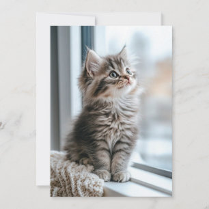 Cartão De Festividades Gatinho perto da janela Apartamento