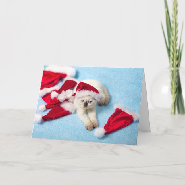 Cartão De Festividades Gatinho Siamese: Chapéus do papai noel (Frente)
