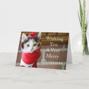 Cartão De Festividades Gatinho vermelho do Natal
