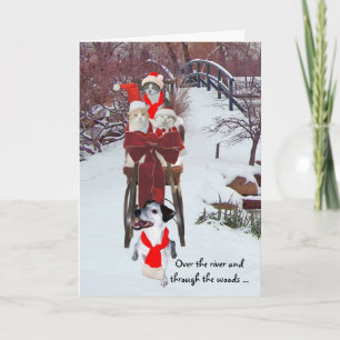 Cartão De Festividades Gatinhos Sleigh Ride