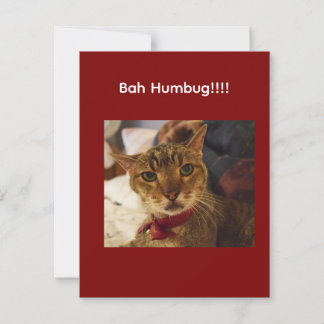 Cartão De Festividades Gato Bah Humbug com franzir