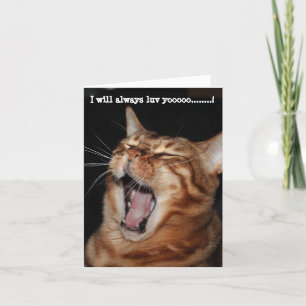 Cartão De Festividades Gato Bengal cantando "Eu sempre vou te amaááá"
