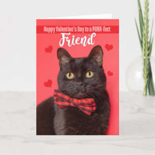 Cartão De Festividades Gato Bonito Amigo do feliz dia de os namorados na 
