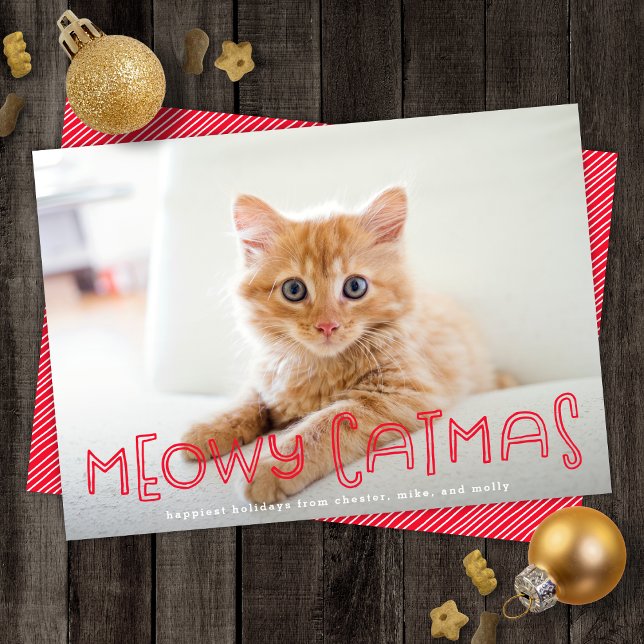 Cartão De Festividades Gato Bonito Meowy Catmas Natal Moderno Uma Foto (Criador carregado)