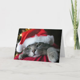 Cartão De Festividades Gato cinzento bonito do gatinho do Natal