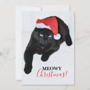 Cartão De Festividades Gato com o Chapéu Vermelho de Papai Noel