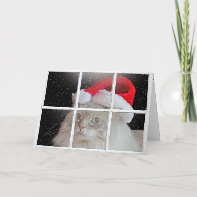 Cartão De Festividades Gato de Aragdolas de Natal (Frente)