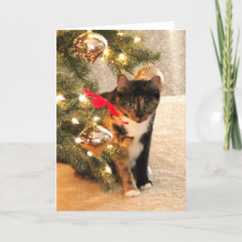 Cartão De Festividades Gato de chita sob a árvore de Natal, vazio para